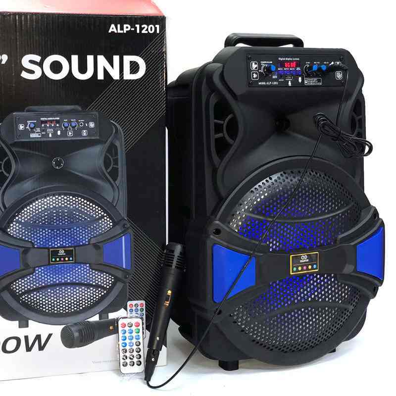 12 Inch Rechargeable Speaker With a Remote and a Microphone