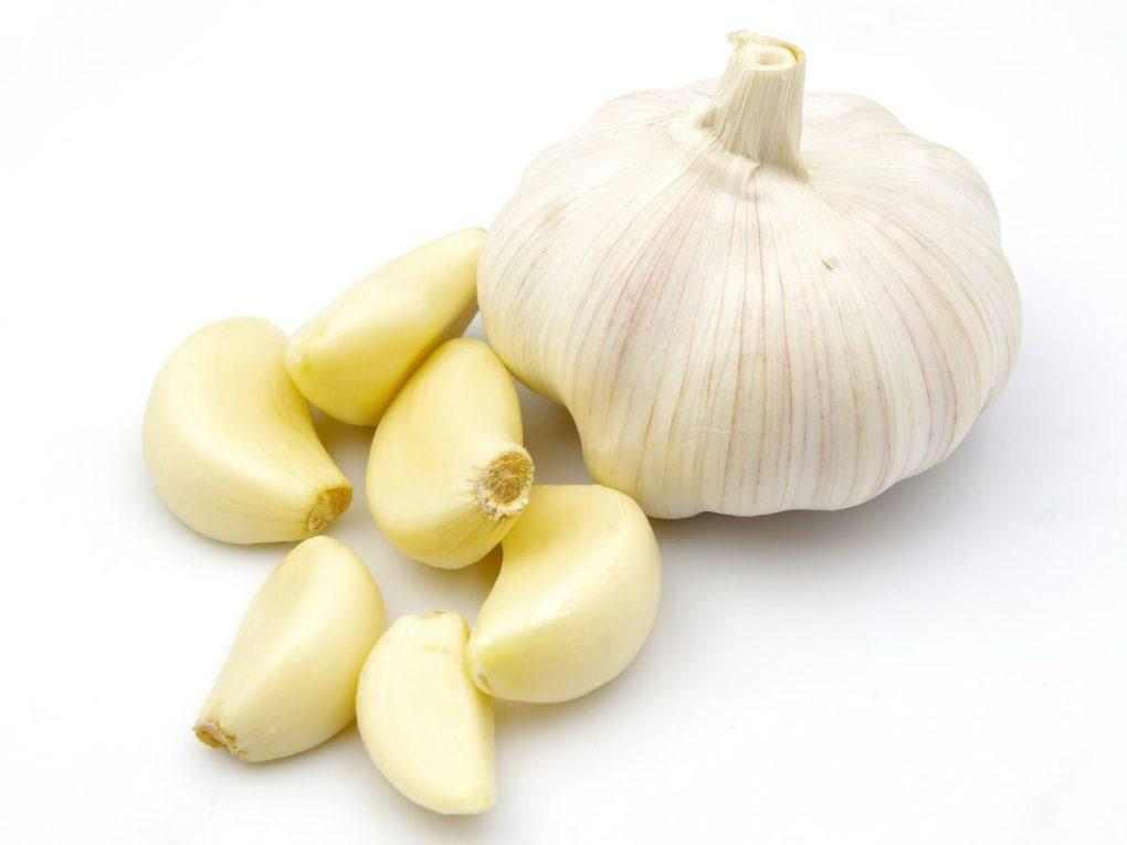 Chinese Garlic	