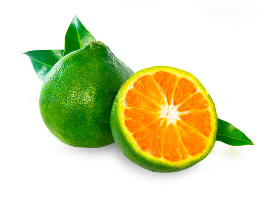 Local tangerine	